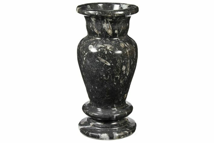 Limestone Vase With Orthoceras Fossils #122445